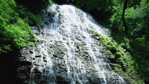高效先进稳定性